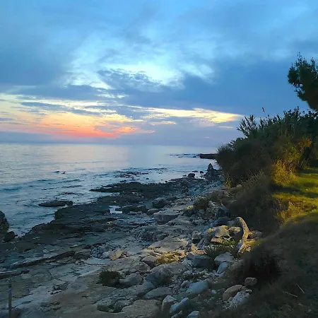 Apartment Apartements Sarah Novigrad (Istria)