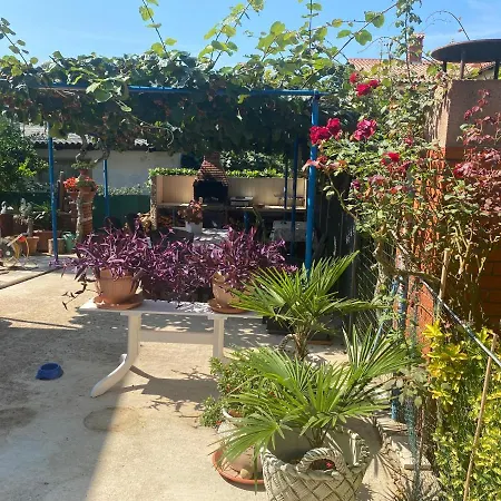 Apartements Sarah Novigrad Istria