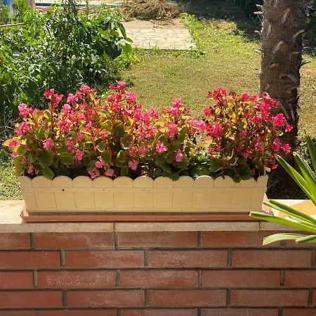 Apartements Sarah Novigrad Istria