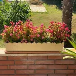 Apartements Sarah Novigrad Istria