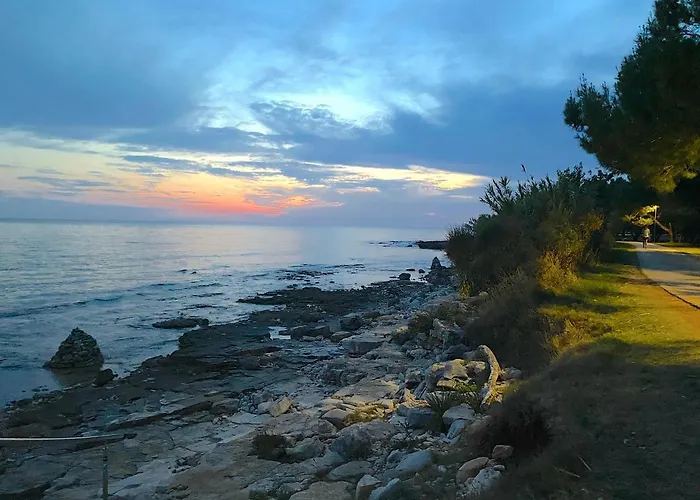 Lejlighed Apartements Sarah Novigrad Istria