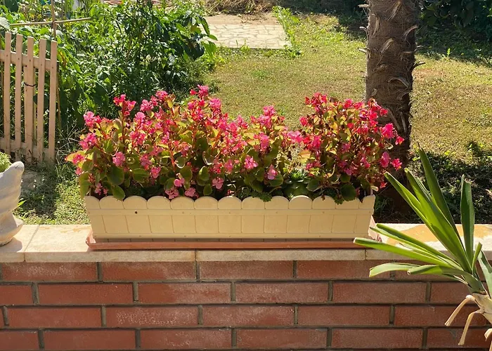 Apartements Sarah Novigrad Istria