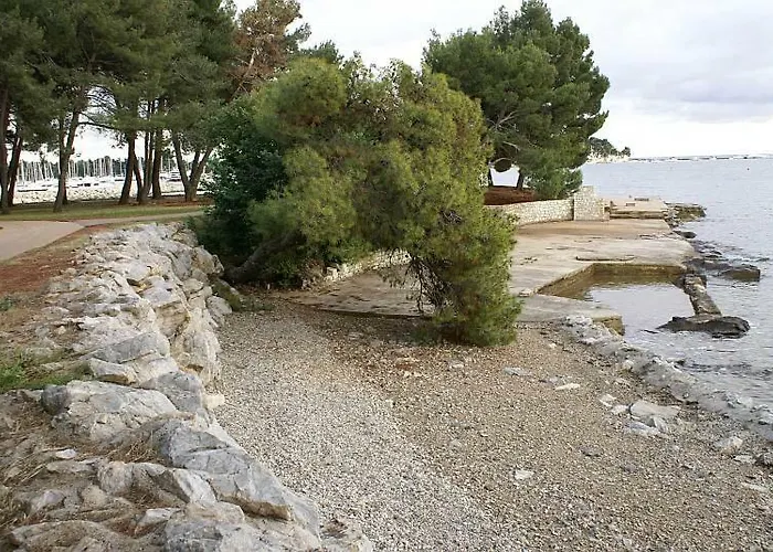 Lejlighed Apartements Sarah Novigrad Istria